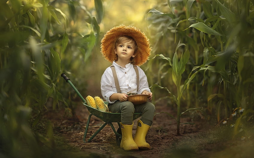 Garçon dans un champ de maïs, maïs, garçon, chapeau, enfant Fond d'écran HD