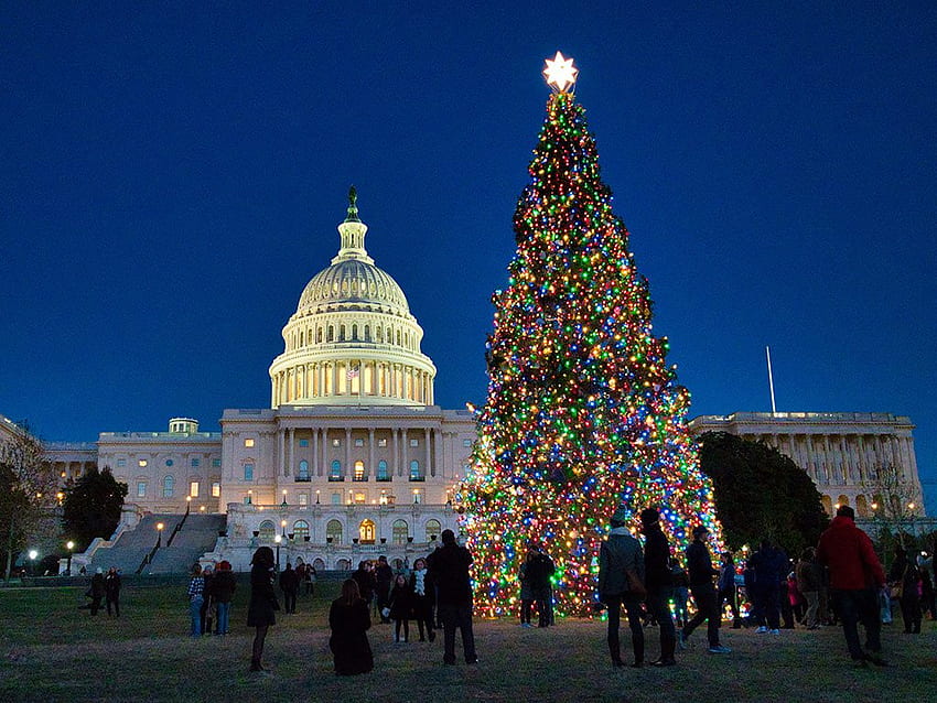 Christmas Events In D.C. To Make Happy Holiday Memories, Washington DC Christmas HD wallpaper