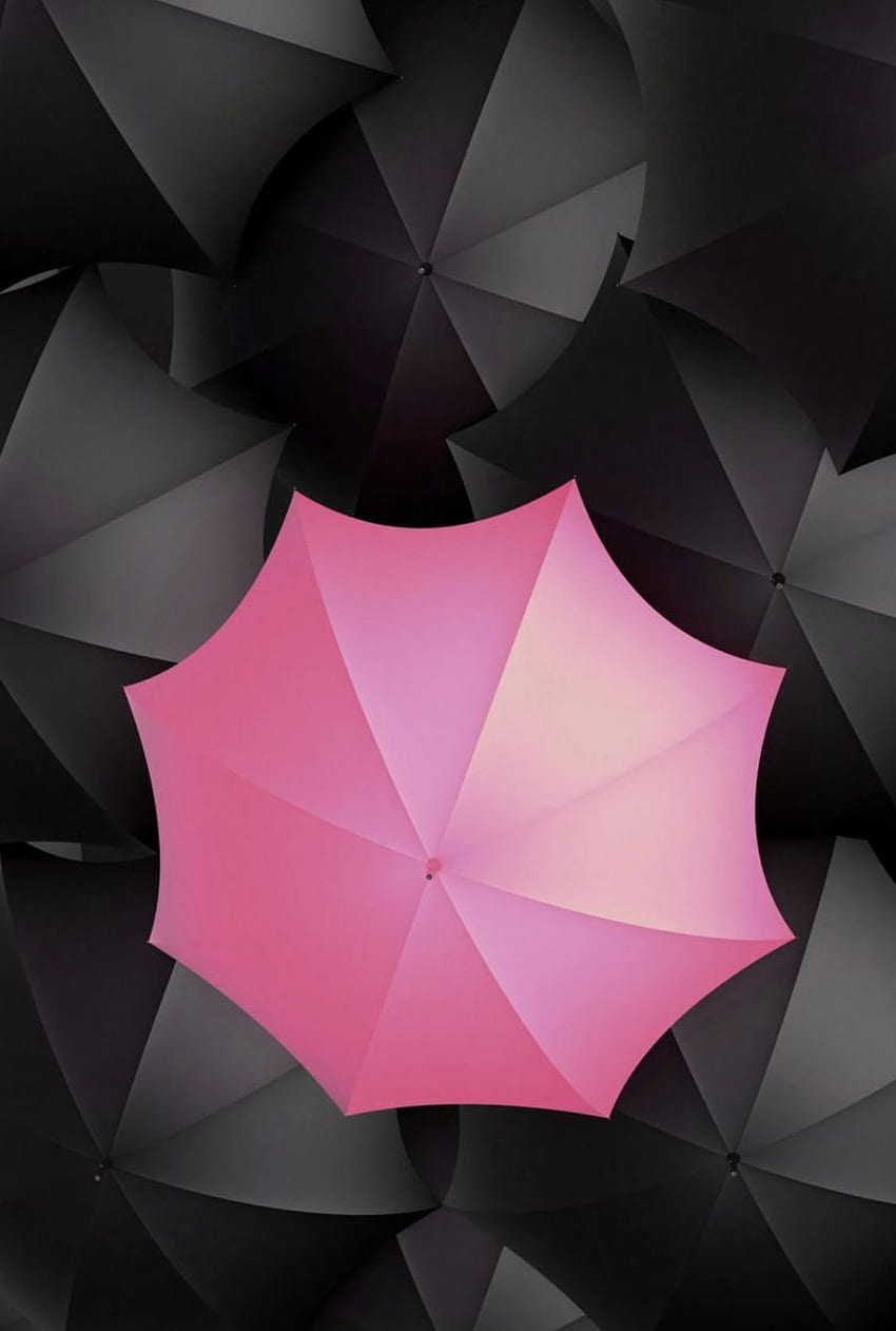 Parapluies roses et noirs. Iphone noir et blanc, Rose et noir, Éclaboussure de couleur Fond d'écran de téléphone HD
