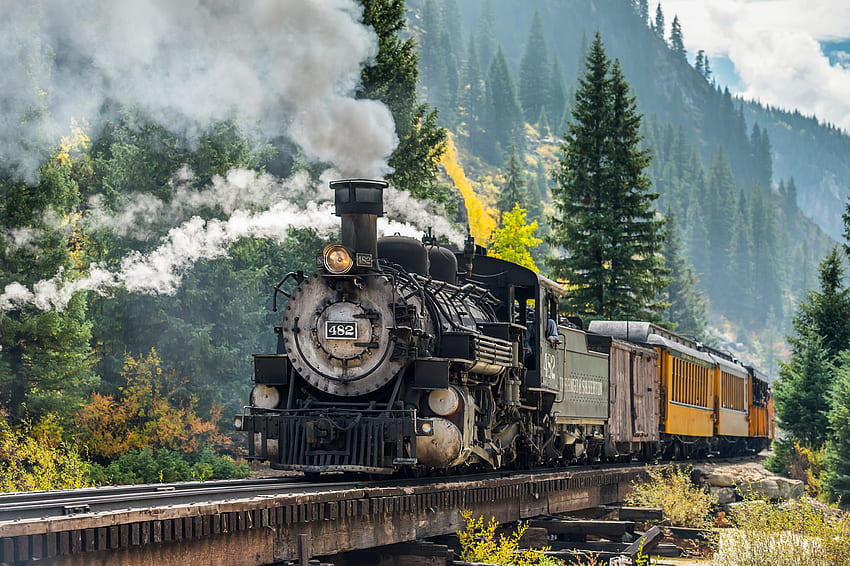 Парен двигател, влак, гора, железопътна линия, превозно средство HD тапет