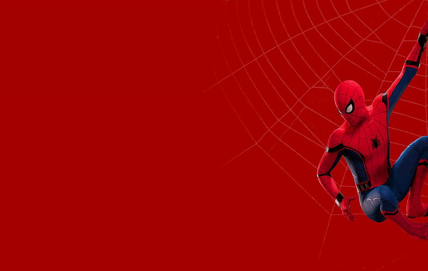 การมีส่วนร่วมที่ใหญ่ที่สุดของ Spiderman ต่อมนุษยชาติ มนุษย์แมงมุม . ชาย, พื้นหลัง, สไปเดอร์แมน, คอมพิวเตอร์เรดแมน วอลล์เปเปอร์ HD