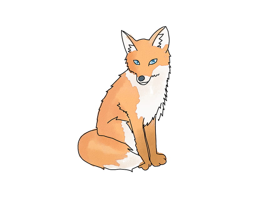 Draw a Fox. Cartoon fox drawing, Fox drawing, Fox sketch, Cute Fox Drawing HD wallpaper