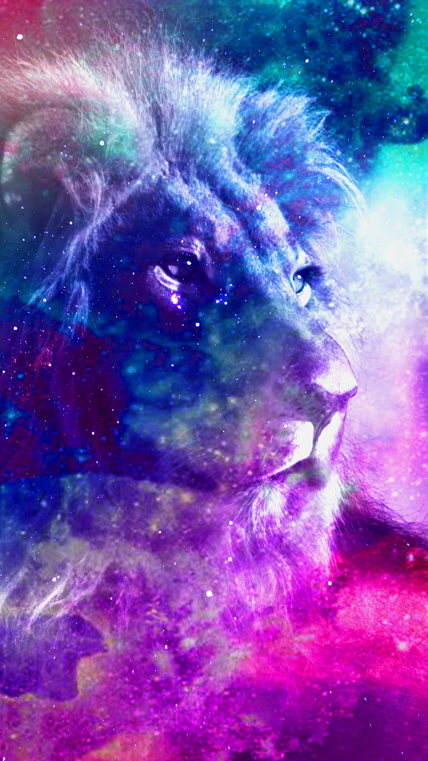 This is the lion I hopped It is now galaxy lion, Cool Lion Galaxy HD phone wallpaper
