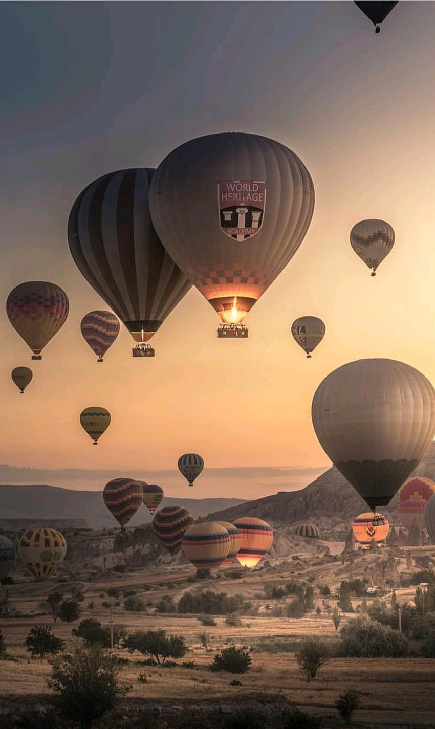 Hot air balloon sky, atmosphere HD phone wallpaper