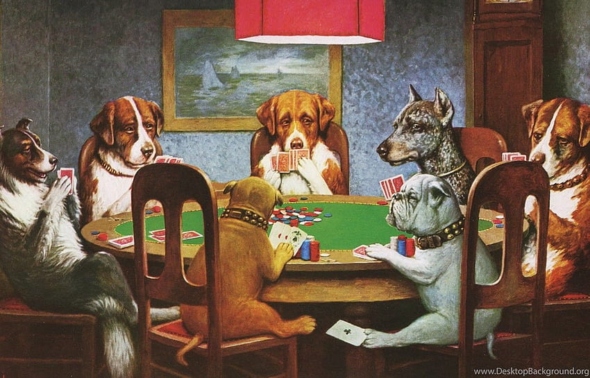 Psy grające w pokera na automatach w tle Tapeta HD