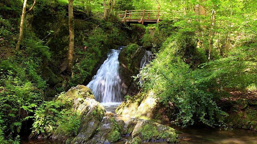 wooden bridge above waterfall, wood, waterfall, bridge, rocks, forest HD wallpaper