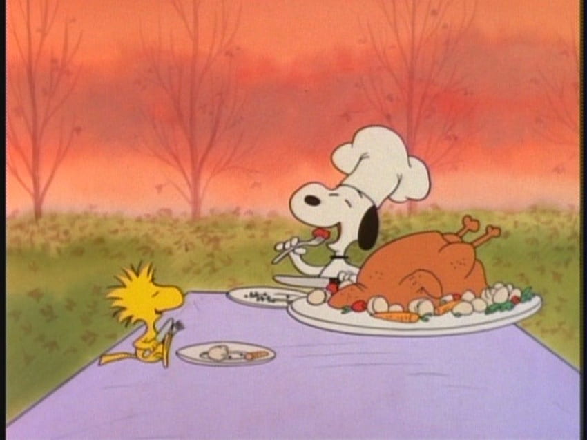 Woodstock Peanuts, Snoopy Thanksgiving HD wallpaper