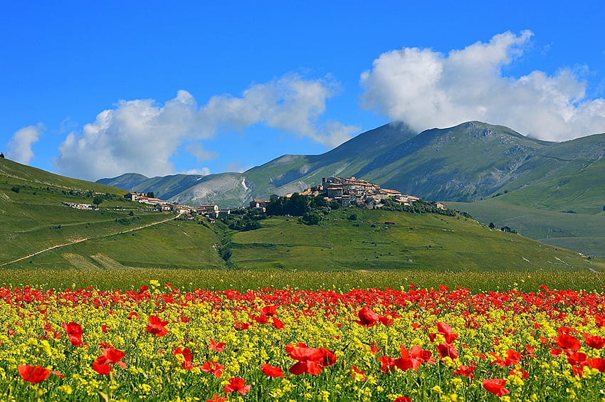 Italy Castelluccio di Norcia Nature Mountains Fields, Italy Flowers HD wallpaper