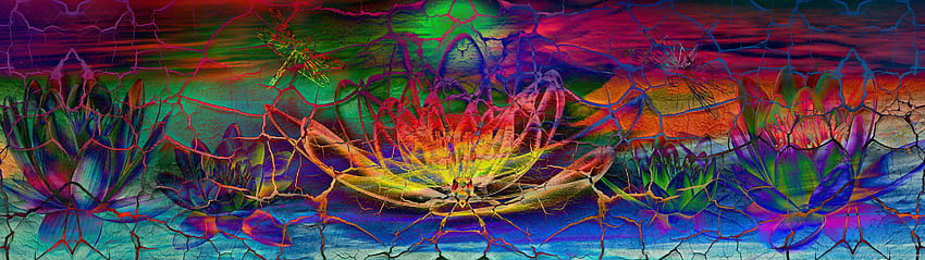 형이상학적, 영적, 초현실적, 연꽃, 신성한 기하학, 5120x1440 애니메이션 HD 월페이퍼