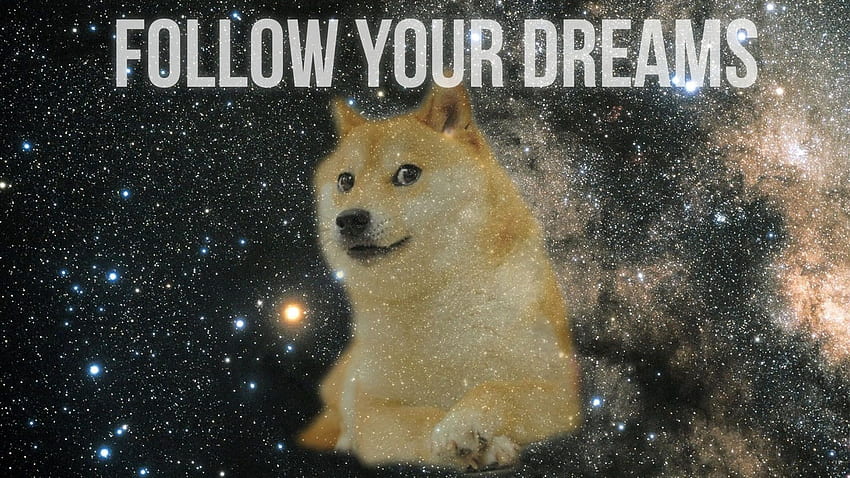 Doge 당신의 꿈을 따르십시오 HD 월페이퍼
