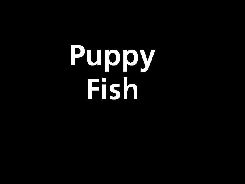Puppy Fish, puppy, white, black, abstract, other, fish HD wallpaper