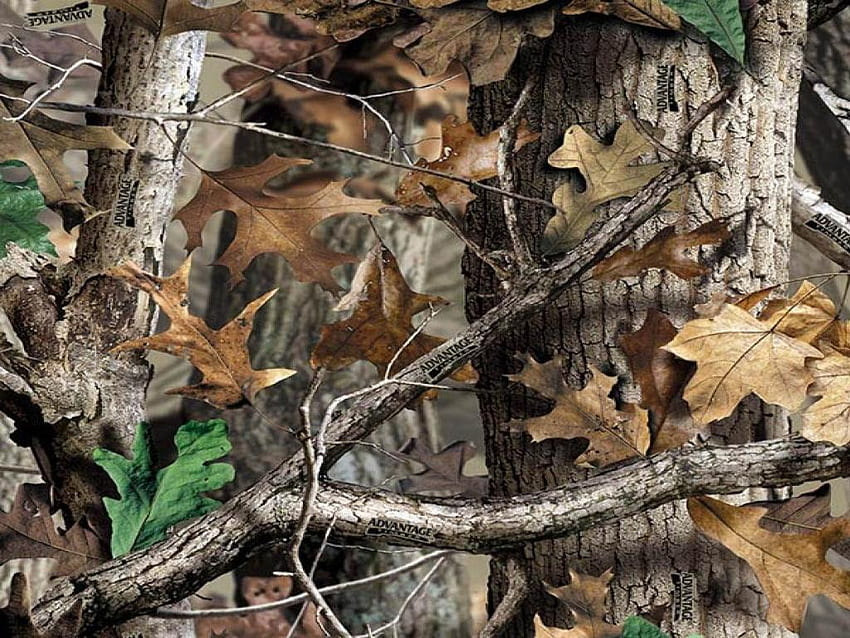 Hunting Camouflage, Waterfowl Camo HD wallpaper