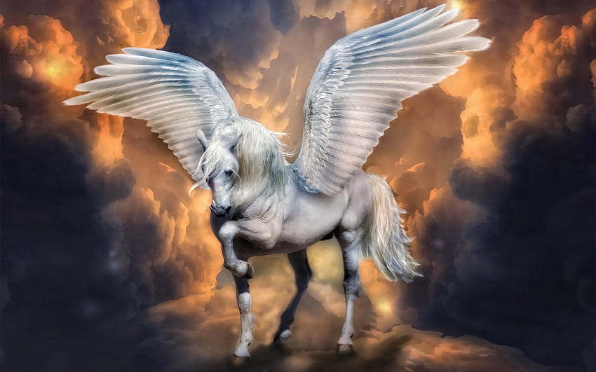 Enchanting Pegasus, majestic, browns, magical, pegasus, lovely, Fantasy, enchanting HD wallpaper