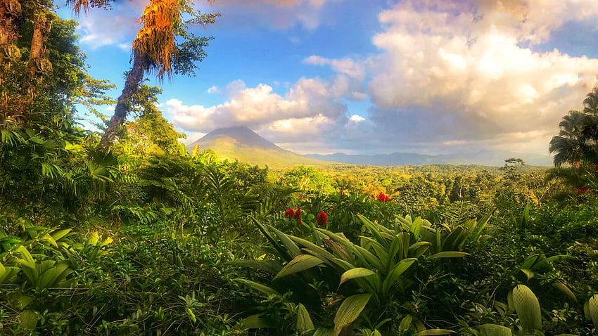 コスタリカのアレナル火山、プラビダ、風景、木々、空、植物、雲 高画質の壁紙