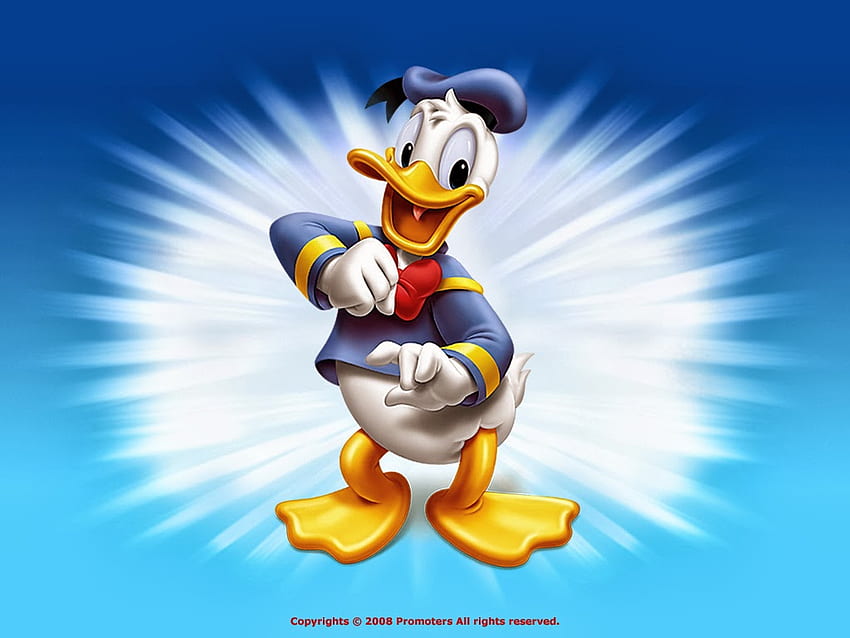 Cartoon for . High Definition: Donald Duck HD wallpaper | Pxfuel