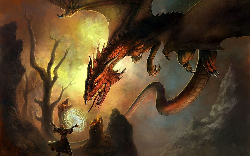 Bataille de dragon sorcier fantastique., Bataille de dragon cool Fond d'écran HD