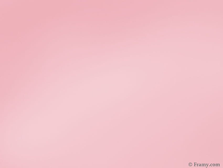 Light pink shade HD wallpaper