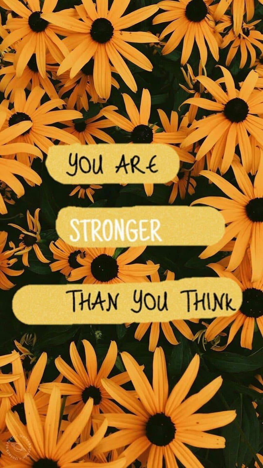 Sunflower Quotes iPhone - - - Tip, Cute Yellow Sunflower HD phone wallpaper