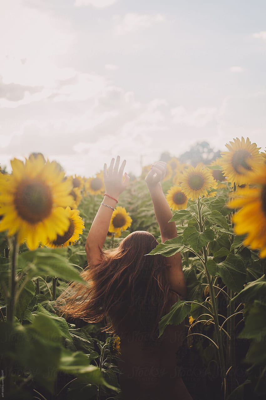 Sinnliches Porträt eines Mädchens in einem Sonnenblumenfeld von paff - Girl - Stocksy United HD-Handy-Hintergrundbild