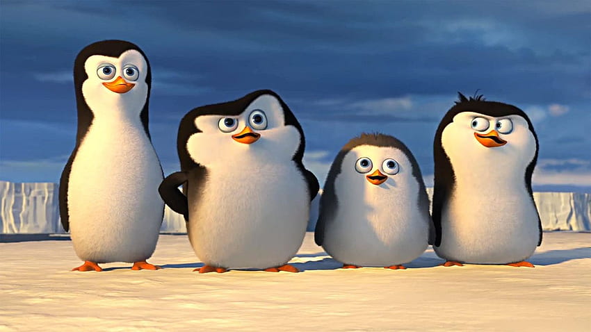 penguin beresolusi tinggi, Penguins of Madagascar Wallpaper HD