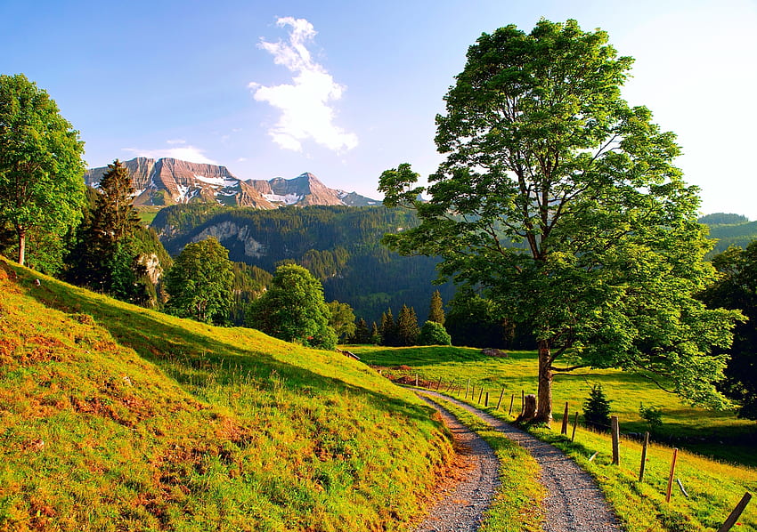 Природа, Планини, Лято, Път, Алпи, Швейцария HD тапет