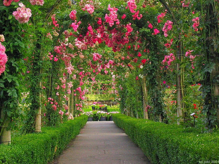 Jardin naturel, paysage de fleurs Fond d'écran HD