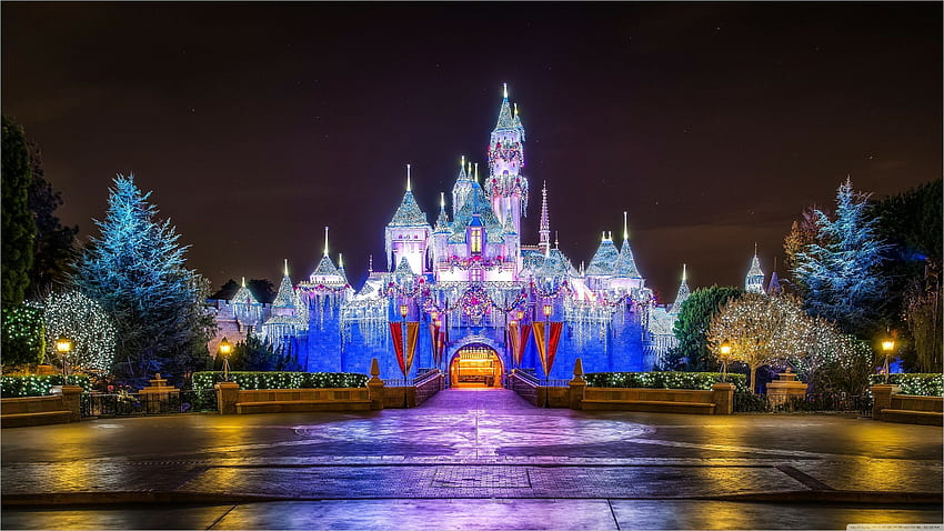 Disney World Natale. Natale Disney World, Natale Disneyland, Natale Castello, Walt Disney World Sfondo HD
