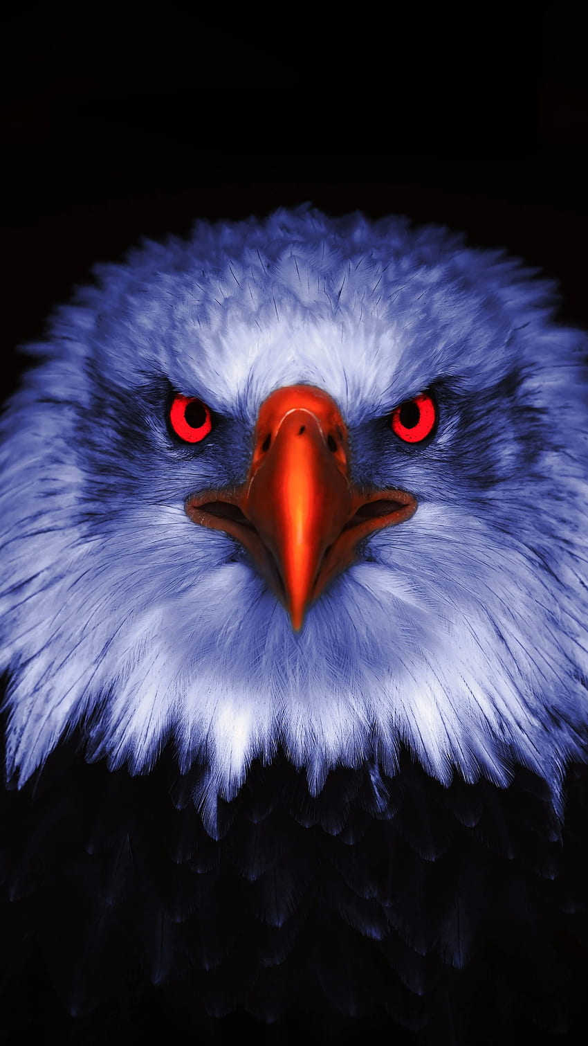 Eagle, Raptor, ojos rojos, primer plano. Águila, Águila, Animales espirituales nativos americanos, Águila linda fondo de pantalla del teléfono