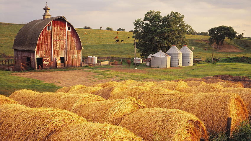 Çiftlik Ülkesinde Yaşam. Çiftlik Bilgisayarı ,, Sevimli Çiftlik HD duvar kağıdı