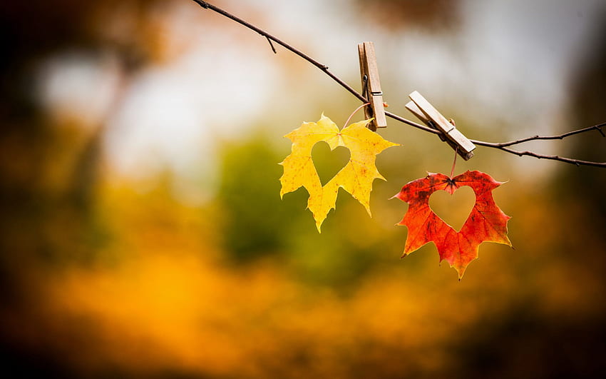 Autumn Heart High Quality, Romantic Autumn HD wallpaper | Pxfuel