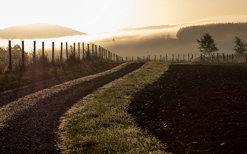 estrada à beira de um campo arado, nevoeiro, campo, cerca, estrada, nascer do sol papel de parede HD