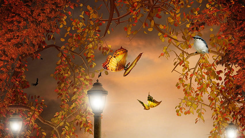 Falls Fantastic Lighting, illuminato, uccello, lampade, autunno, oro, arancio, farfalle, persona, luce, luminoso, luci, autunno, cielo Sfondo HD