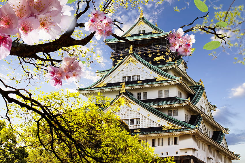 Japonés Sakura Castle Japan Blossom Teléfono. pokoik, paisaje de Japón fondo de pantalla