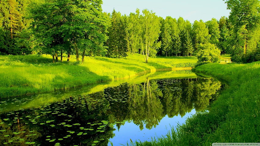 Spring Green Magical Place Wallpap On Spring, 1920 X 1080 Spring HD wallpaper