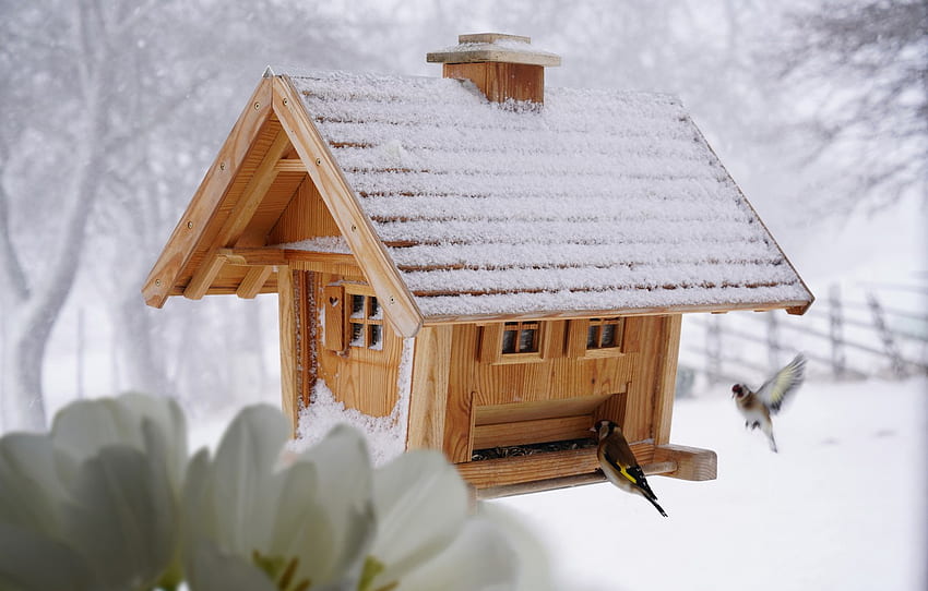 ฤดูหนาว, หิมะ, ดอกไม้, นก, นก, ไม้, บ้านนก, บ้าน, ขาว, เมล็ดพืช, นกกระจิบทอง, feeder, goldfinches สำหรับ , ส่วน животные, Cute Winter Bird วอลล์เปเปอร์ HD