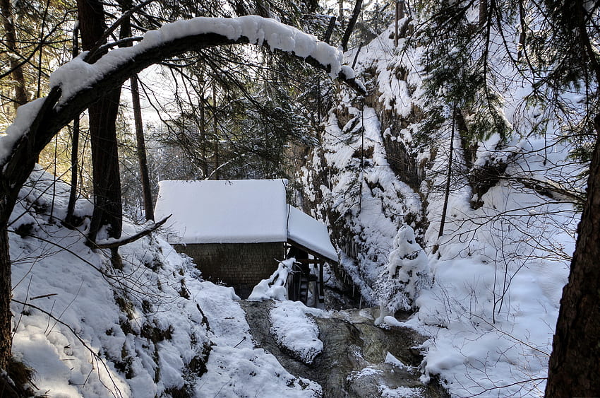 ภูมิทัศน์ ฤดูหนาว ธรรมชาติ แม่น้ำ ป่าไม้ หล่อ สวย โรงสี วอลล์เปเปอร์ HD