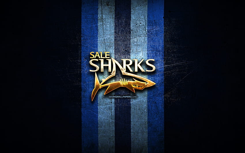 Sale Sharks, złote logo, Premiership Rugby, niebieskie metalowe tło, angielski klub rugby, logo Sale Sharks, rugby Tapeta HD
