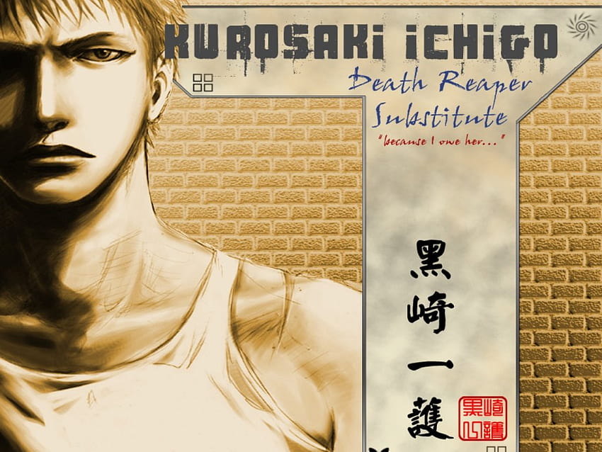 Kurosaki Ichigo, Bleichmittel, Anime HD-Hintergrundbild