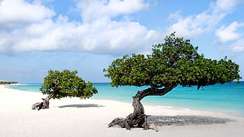 Oranjestad, Aruba HD Wallpapers / Desktop and Mobile Images & Photos