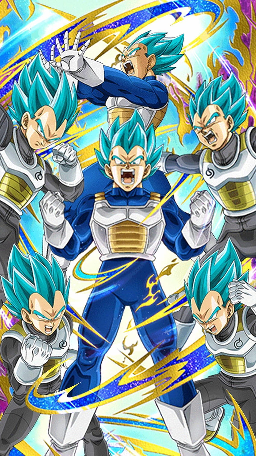 Goku And Vegeta Ssb, Vegeta Blue Evolution HD phone wallpaper