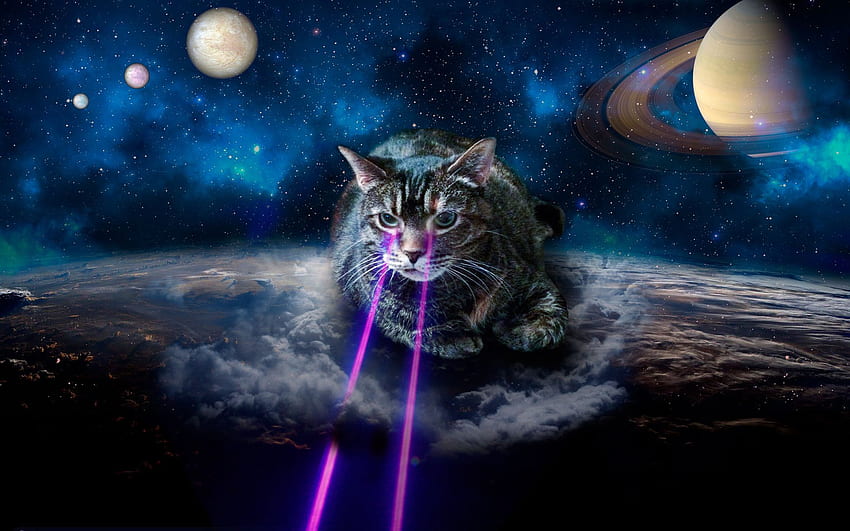 Shrine of LAser Cats – WonkeyWeb, Cats in Space HD wallpaper