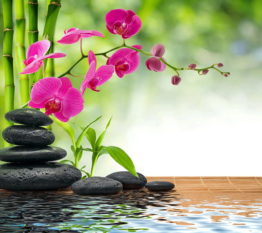 Spa Zen. Zen, jardim zen, design de jardim Feng Shui papel de parede HD