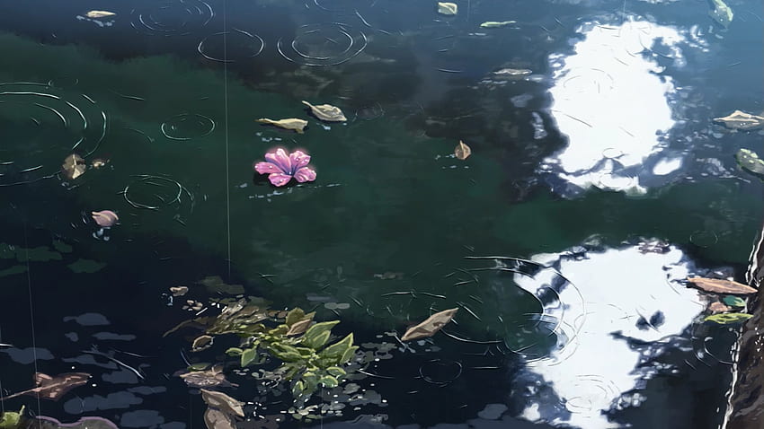 pluie, le jardin des mots, Makoto Shinkai, eau, fleurs, lumière du soleil / et arrière-plans mobiles Fond d'écran HD