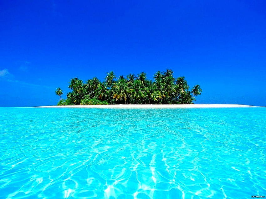 Piękne wyspy, tropiki, przyroda. , Palm Tree Island Tapeta HD
