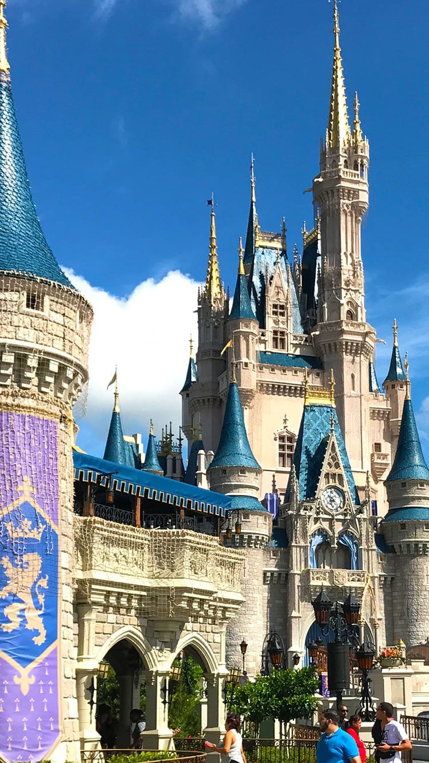 Disney Castle iPhone - Disney World, Cinderella HD phone wallpaper