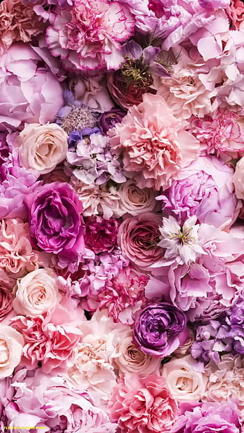 Với các hình nền hoa tươi đẹp, hình ảnh hoa lá trang trí cực kỳ nghệ thuật, những bức hình floral iPhone HD sẽ mang đến cho bạn trải nghiệm trực quan tuyệt vời trên iPhone của mình. Lựa chọn hình nền phù hợp cho mình và biến chiếc điện thoại của bạn thành một tác phẩm nghệ thuật di động.