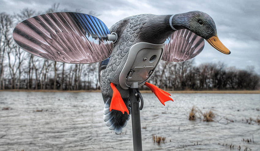 Best Duck Hunting Gear, New Upland Hunting Gear SHOT Show, Delta Waterfowl HD wallpaper