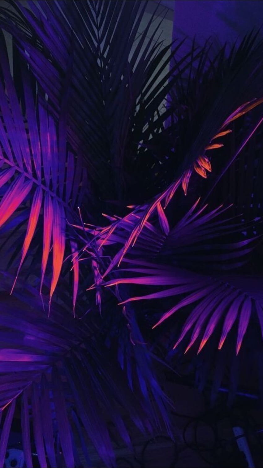 palm tree synthwave. Neon , Aesthetic , Purple HD phone wallpaper