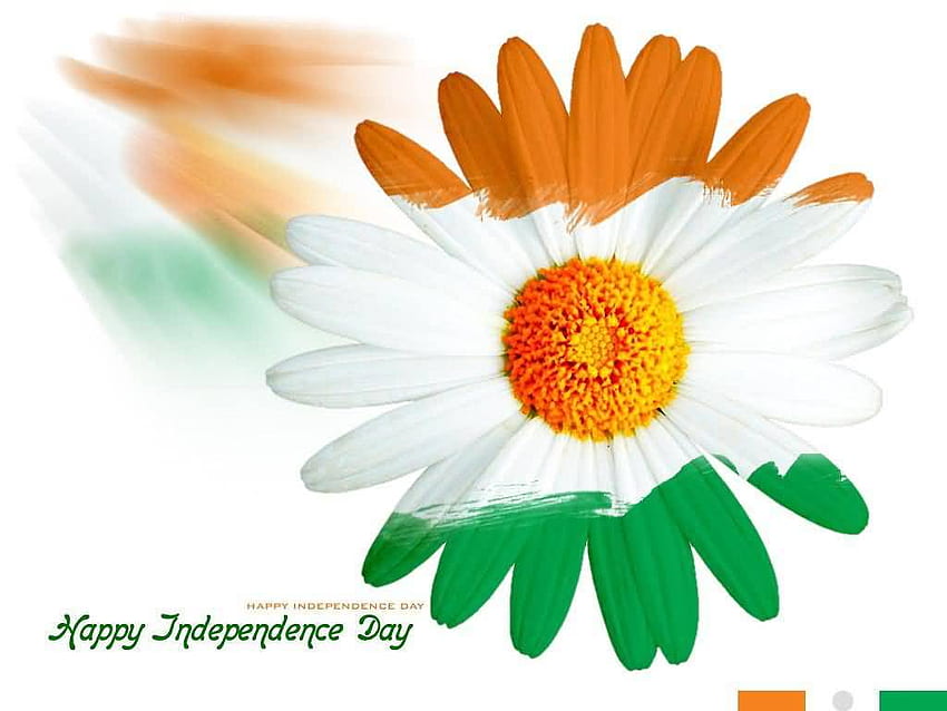 Tricolor Happy Independence Day Flower - Anuncio sobre turismo indio - & Antecedentes, Tricolor fondo de pantalla