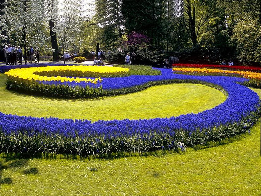 S Marks the Spot, blue, grass, flowers, yellow HD wallpaper